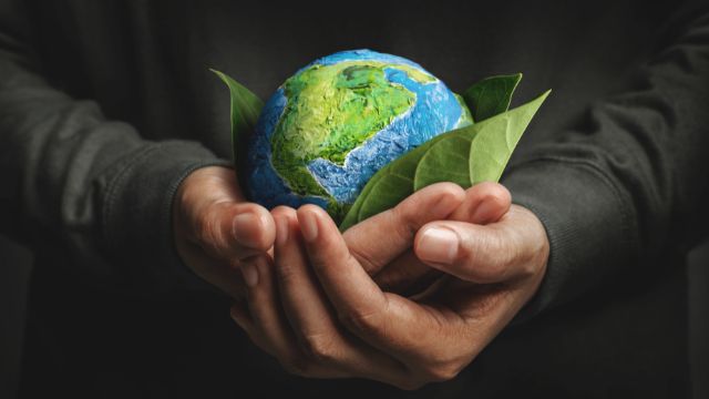 Sustainable and Green Ventures on the Rise
